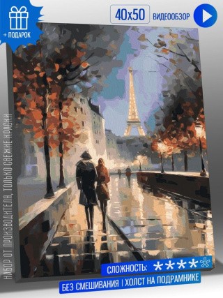 Картина по номерам «Романтическая прогулка по Парижу»