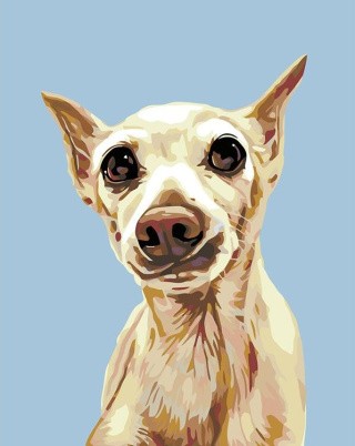 Картина по номерам «Оззи» Картина по номерам «Оззи»