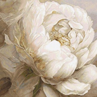 Набор для вышивания «Peony Poses (Пион)» Набор для вышивания «Peony Poses (Пион)»
