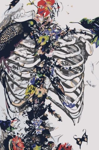 Картина по номерам «Скелет и птицы»