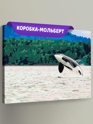 Картина по номерам «Косатка» Картина по номерам «Косатка»