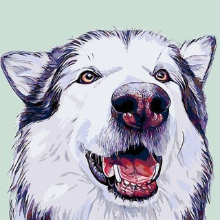 Картина по номерам «Вулфи» Картина по номерам «Вулфи»