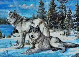 Алмазная вышивка «Два волка»