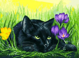Картина по номерам «Кот и крокусы»