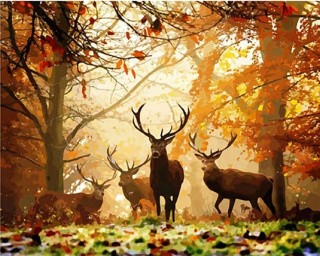 Картина по номерам «Лесные олени» Картина по номерам «Лесные олени»