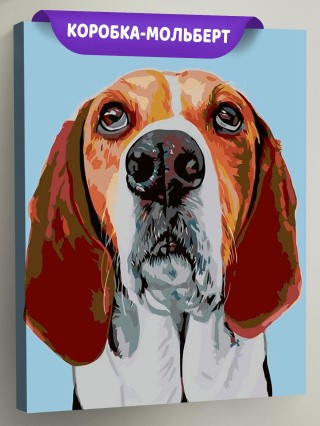 Картина по номерам «Апполон»