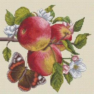 Набор для вышивания «Яблоки на ветке»