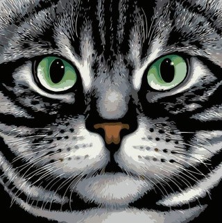 Картина по номерам «Зеленые глаза»