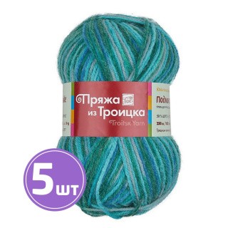 Пряжа из Троицка Подмосковная (4444), секционный, 5 шт. по 100 г Пряжа из Троицка Подмосковная (4444), секционный, 5 шт. по 100 г
