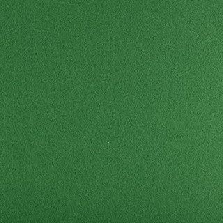 Фетр декоративный, жесткий, 1,2 мм, 33х53 см ± 2 см, 1 шт., цвет: 867 зеленый, Gamma