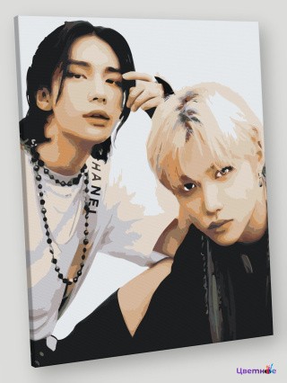 Картина по номерам «Stray Kids Стрей Кидс KPOP кпоп 40x50»