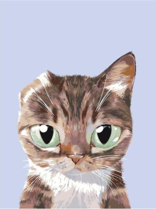 Картина по номерам «Задира» Картина по номерам «Задира»