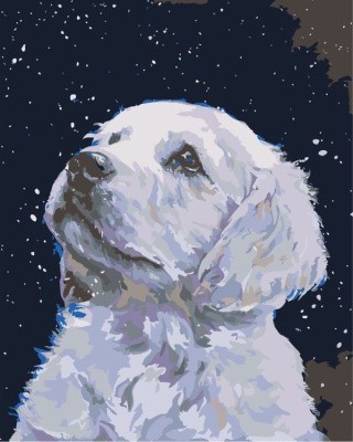 Картина по номерам «Белый пёс»