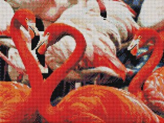 Алмазная вышивка «Пара фламинго» Алмазная вышивка «Пара фламинго»