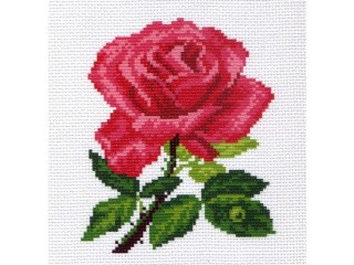 Рисунок на канве «Роза»