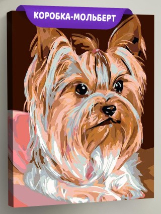 Картина по номерам «Йоркширский терьер»