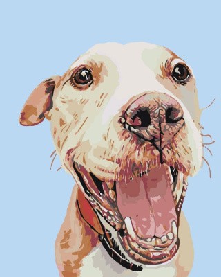 Картина по номерам «Салли» Картина по номерам «Салли»