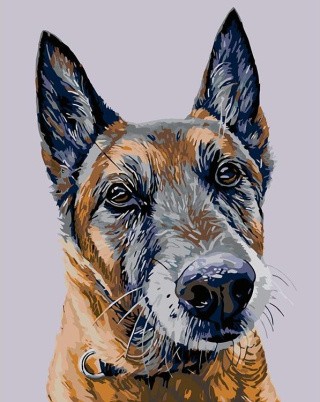 Картина по номерам «Лорд» Картина по номерам «Лорд»