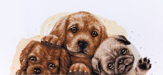 Алмазная вышивка «Пушистики» Алмазная вышивка «Пушистики»