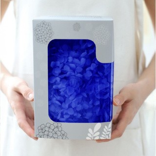 Стабилизированные цветы Гортензии (синие), коробка
