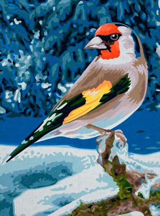 Алмазная вышивка «Щегол зимой» Алмазная вышивка «Щегол зимой»