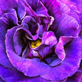 Алмазная вышивка «Аромат ночного лета» Алмазная вышивка «Аромат ночного лета»