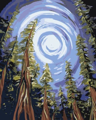 Картина по номерам «Полуночная магия» Картина по номерам «Полуночная магия»