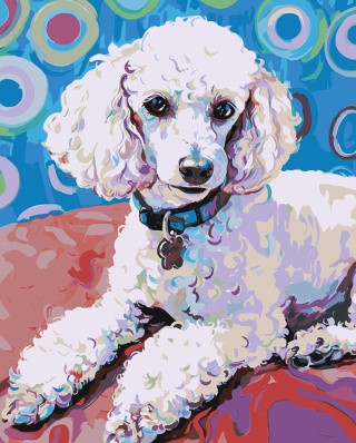 Картина по номерам «Собака пудель в стиле Ван Гога 40х50»