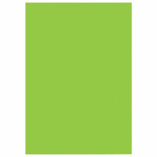 Фоамиран, 50х70 см, цвет: светло-зеленый Фоамиран, 50х70 см, цвет: светло-зеленый