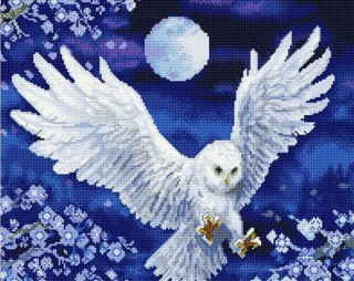 Алмазная вышивка «Ночной полёт» Алмазная вышивка «Ночной полёт»