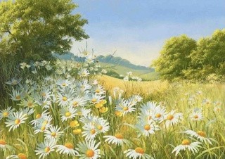 Рисунок на ткани «Ромашковое поле» Рисунок на ткани «Ромашковое поле»