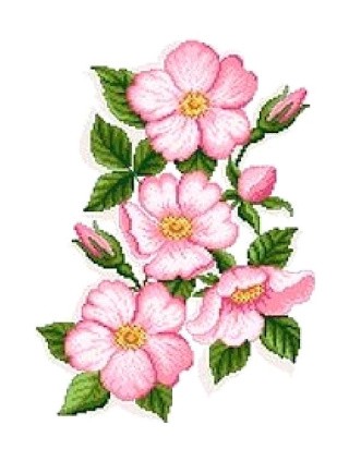 Набор для вышивания «Дикая роза»
