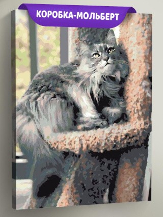 Картина по номерам «Пушистая кошка»