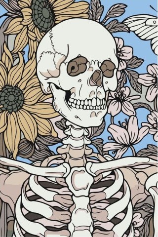 Картина по номерам «Скелет»