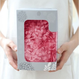 Стабилизированные цветы Гортензии (ярко-розовые), коробка