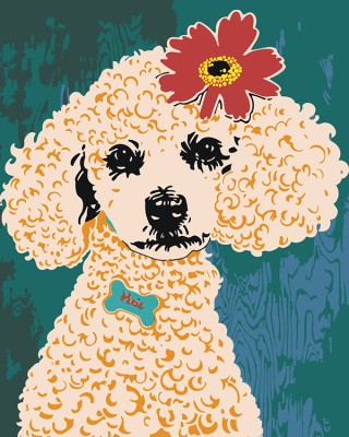 Картина по номерам «Собака пудель с цветком на голове 40х50»