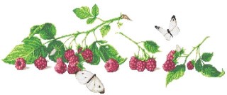 Рисунок на ткани «Натюрморт с малиной» Рисунок на ткани «Натюрморт с малиной»