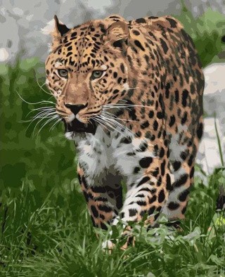 Картина по номерам «На охоте» Картина по номерам «На охоте»