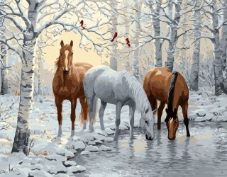 Картина по номерам «Лошади зимой»