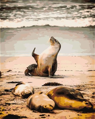 Картина по номерам «Пляжный бездельник» Картина по номерам «Пляжный бездельник»