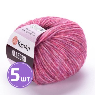 Пряжа YarnArt Allegro (Аллегро) (702), мультиколор, 5 шт. по 50 г