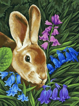Картина по номерам «Кролик» Картина по номерам «Кролик»