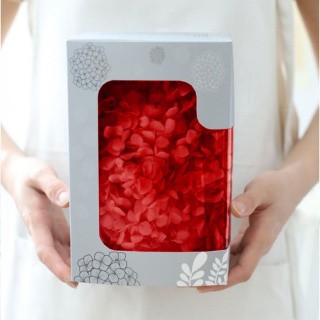 Стабилизированные цветы Гортензии (красные), коробка
