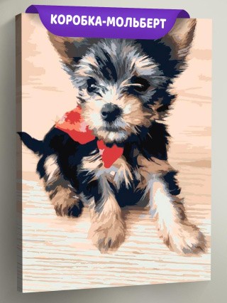 Картина по номерам «Йоркширский терьер»