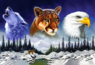 Алмазная вышивка «Дикая природа» Алмазная вышивка «Дикая природа»