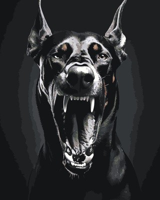 Картина по номерам «Черная собака доберман с открытой пастью»