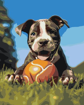 Картина по номерам «Собака Стаффорд (Стаффордширский терьер) щенок 2»