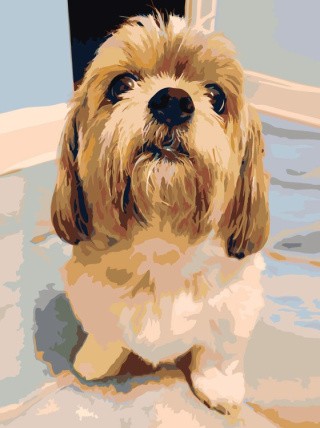 Картина по номерам «Верный друг» Картина по номерам «Верный друг»