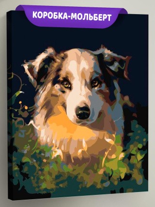 Картина по номерам «Собачий взгляд» Картина по номерам «Собачий взгляд»