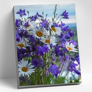 Картина по номерам «Полевые цветы» Картина по номерам «Полевые цветы»